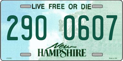NH license plate 2900607