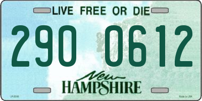 NH license plate 2900612