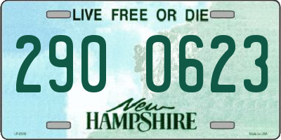 NH license plate 2900623