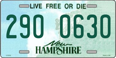 NH license plate 2900630