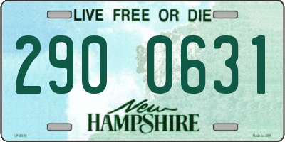 NH license plate 2900631