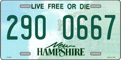 NH license plate 2900667