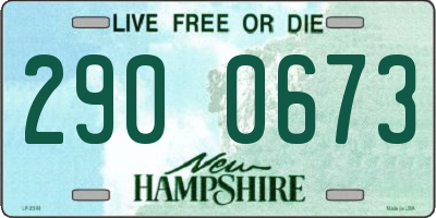 NH license plate 2900673