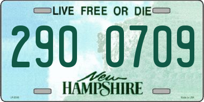 NH license plate 2900709