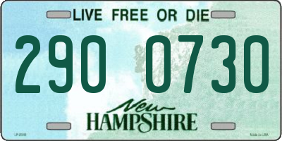 NH license plate 2900730
