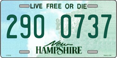 NH license plate 2900737