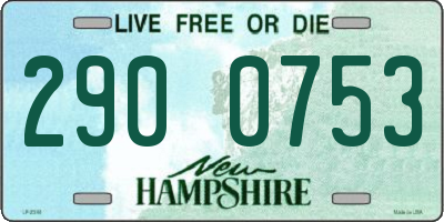 NH license plate 2900753