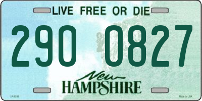 NH license plate 2900827