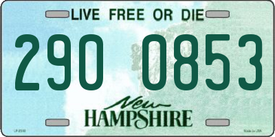 NH license plate 2900853