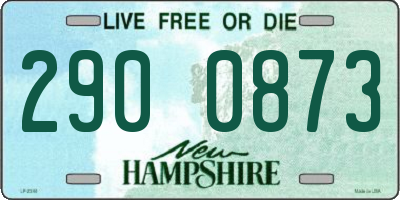 NH license plate 2900873