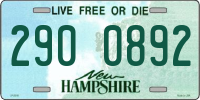 NH license plate 2900892