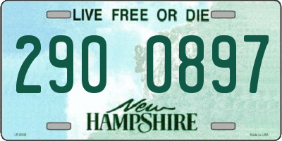 NH license plate 2900897