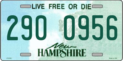 NH license plate 2900956