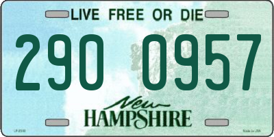 NH license plate 2900957