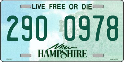 NH license plate 2900978