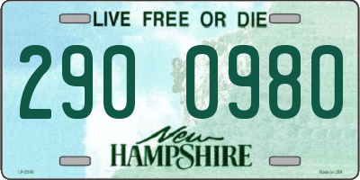 NH license plate 2900980