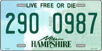 NH license plate 2900987