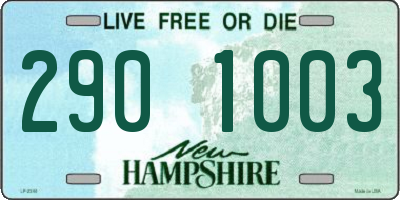 NH license plate 2901003