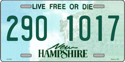 NH license plate 2901017