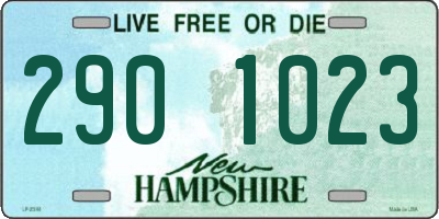 NH license plate 2901023