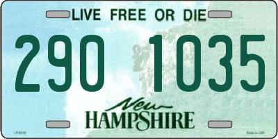 NH license plate 2901035