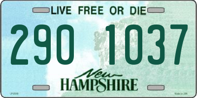 NH license plate 2901037