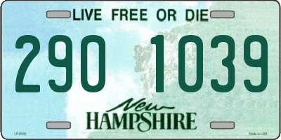 NH license plate 2901039