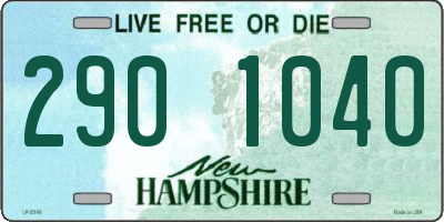 NH license plate 2901040
