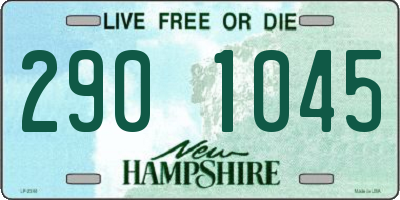 NH license plate 2901045