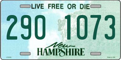 NH license plate 2901073