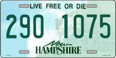 NH license plate 2901075