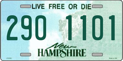 NH license plate 2901101