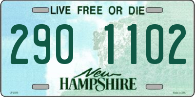 NH license plate 2901102