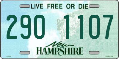 NH license plate 2901107