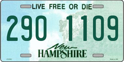 NH license plate 2901109