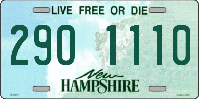 NH license plate 2901110