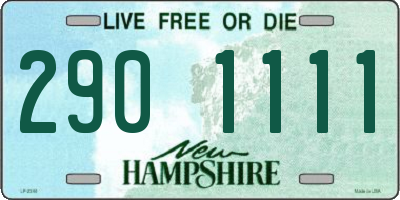 NH license plate 2901111