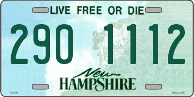 NH license plate 2901112