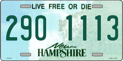 NH license plate 2901113