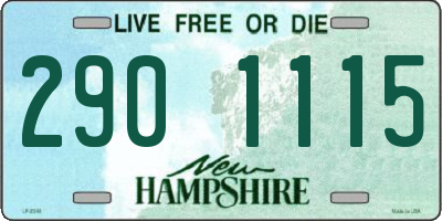 NH license plate 2901115