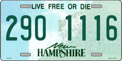 NH license plate 2901116