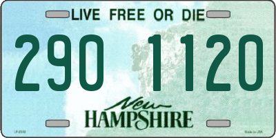 NH license plate 2901120