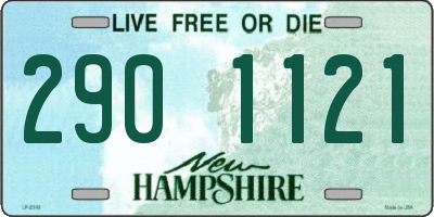 NH license plate 2901121