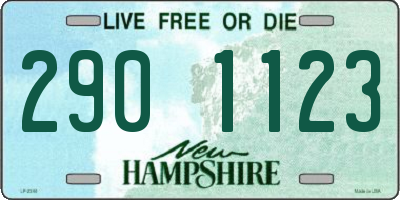 NH license plate 2901123