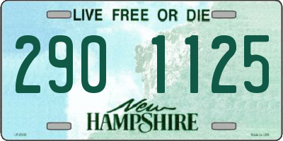 NH license plate 2901125