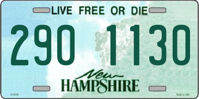 NH license plate 2901130