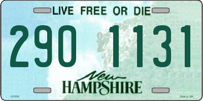 NH license plate 2901131