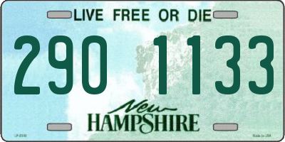 NH license plate 2901133