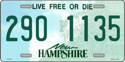 NH license plate 2901135