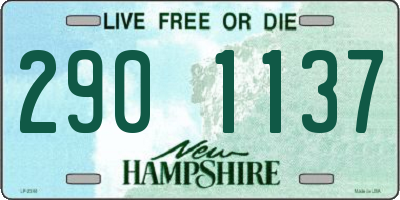 NH license plate 2901137